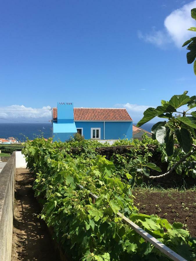 Casa Do Vizinho Villa Porto Judeu Buitenkant foto